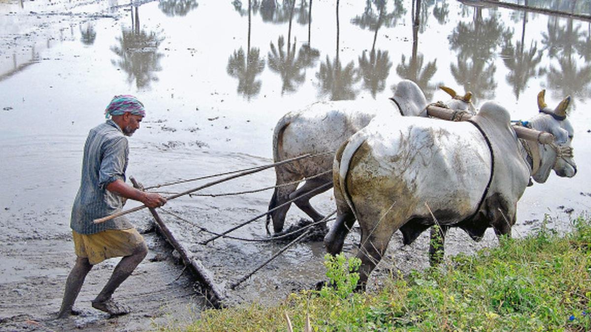 रउरा गाँवे जब ले सावन आइल…