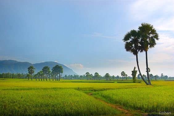 बसन्त फागुन / अशोक द्विवेदी