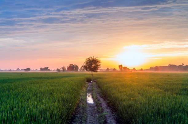 तोहार शहर से अच्छा मोरा गाँव/…